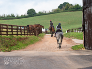 PH020922-45 - 3rd Lot off to the gallops